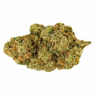 Product image of Electric Honeydew - San Rafael '71 - Dried Flower