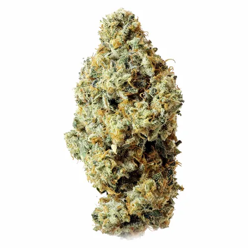 Frosted Fruit Cake x Sunset Sherb - Thumbs Up - Dried Flower