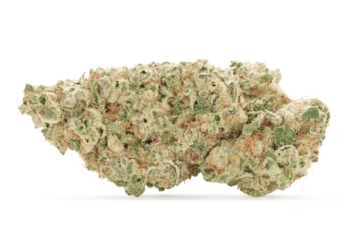 Product image of Baked Animal - Pure Sunfarms - Dried Flower