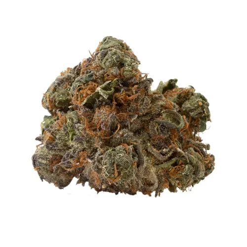 Product image of Apple Pie - Twd.28 - Dried Flower