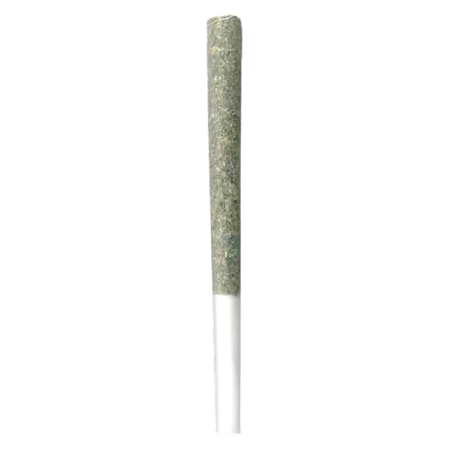Product image of Gelato Punch - Irony - Joints