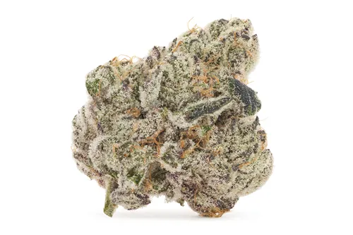 Strawberry Froyo - Island Genetics - Dried Flower