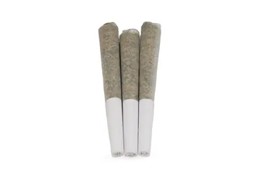 Product image of Zesty Parm - Terra Farms - Joints