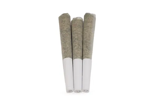 Product image of Zesty Parm - Terra Farms - Joints