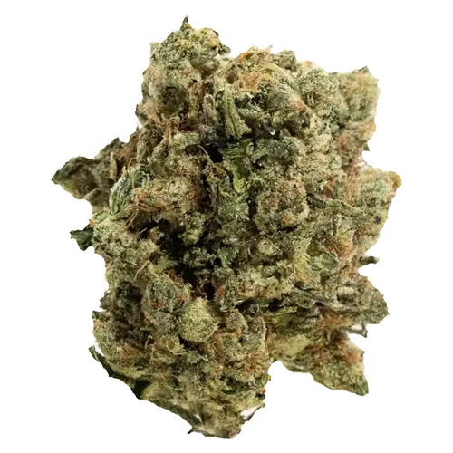 Product image of The Handy Harvest - Handy Dandies - Dried Flower