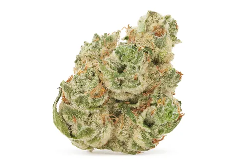 Product image of El Muerte - DEALR - Dried Flower