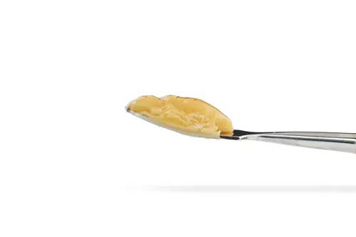 Product image of White Gold Live Rosin - EarthWolf Farms - Rosin