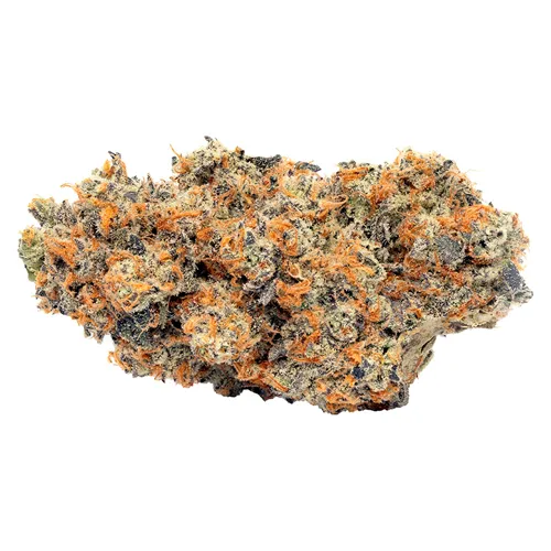 Animal Face Sherb Crasher - Flowr - Dried Flower