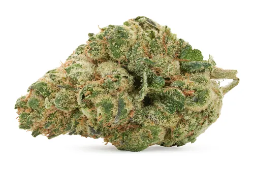 UFO Cookies - Pure Sunfarms - Dried Flower