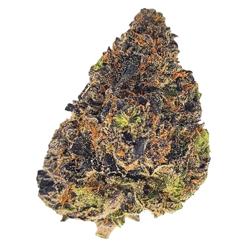 Apples & Bananas - 1964 - Dried Flower