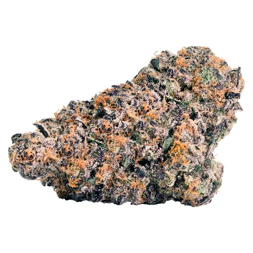 Rainbow P - BLK MKT - Dried Flower