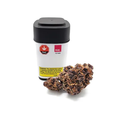 72 Volt - RGB - Dried Flower