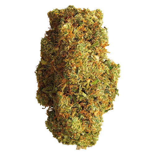 Product image of Blue Dream - 1964 - Dried Flower