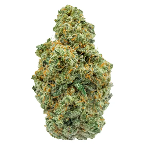 Product image of ICC Jungle Mints - FOUR54 - Dried Flower
