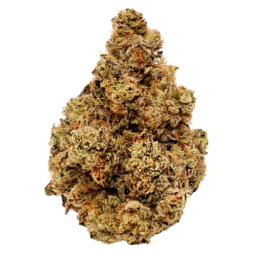 Product image of Gloc - LOT420 - Dried Flower