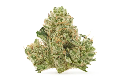 Product image of Rockstar Smalls - Amani Craft - Dried Flower