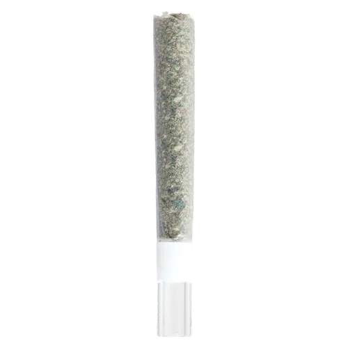 Michigan Melonz Glass Tip - 3rd Coast Genetics - Joints