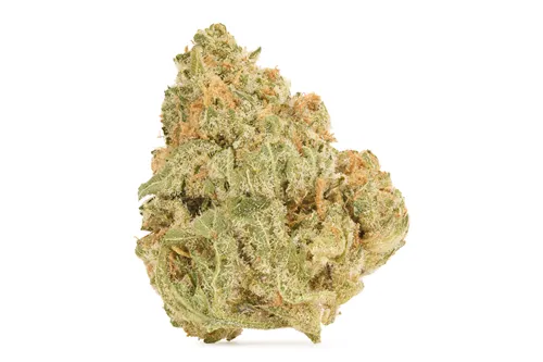 White Widow - Versus - Dried Flower