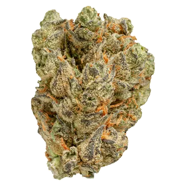 Product image of Peach Tree - Pepe - Dried Flower