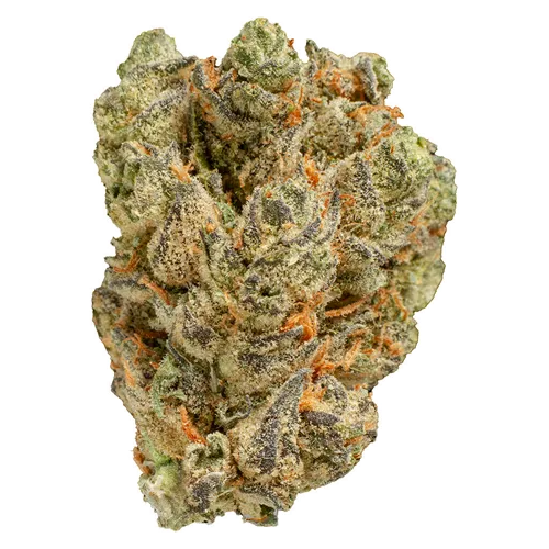 Product image of Peach Tree - Pepe - Dried Flower