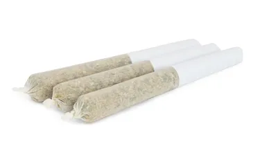 Product image of Blackberry Breath - Pistol and Paris - Joints
