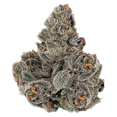 Product image of Gastro Pop - KWALL - Dried Flower