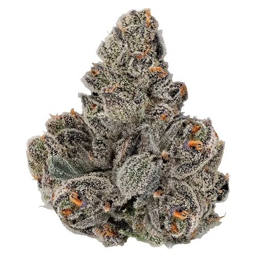 Product image of Gastro Pop - KWALL - Dried Flower