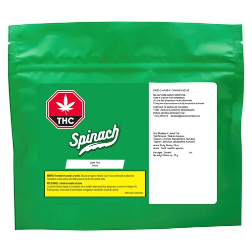 Blue Thai - Spinach - Dried Flower