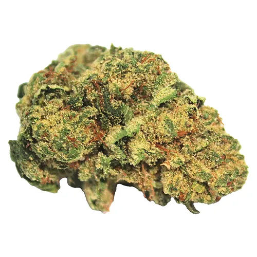 Hash Plant - DG - Dried Flower