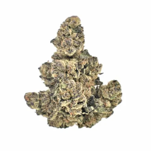 Product image of Grape Cream Cake - Ritual Green - Dried Flower