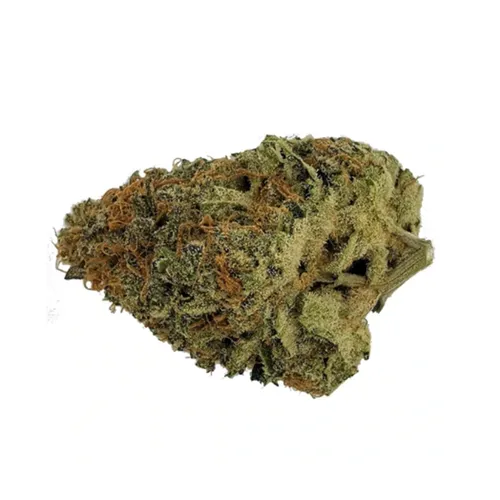 Product image of Animal Sorbet - Sitka WeedWorks Micro Collection - Dried Flower