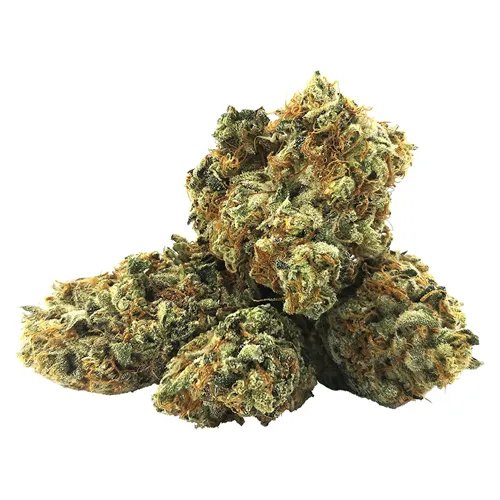Product image of BC Legacy OG - BC Black - Dried Flower
