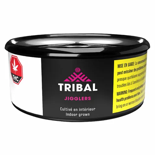 Jigglers - Tribal - Dried Flower