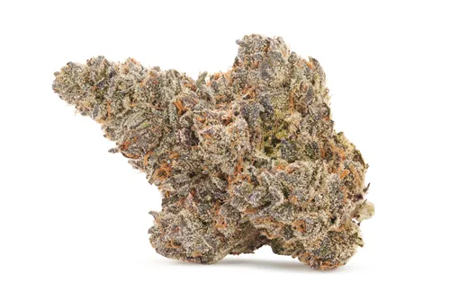 Country Club - Woody Nelson - Dried Flower