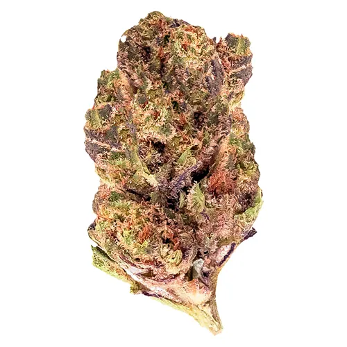 Grape Pie - 3Saints - Dried Flower