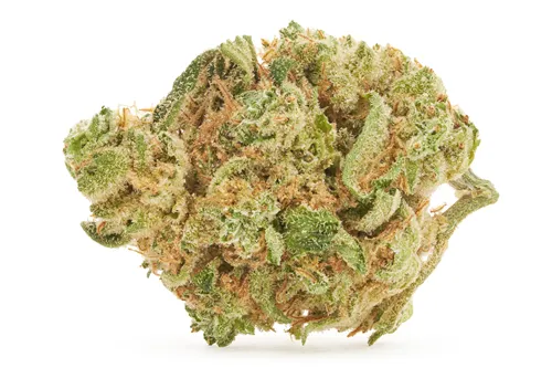 Product image of WMD - BC 1/2 OZ - Dried Flower