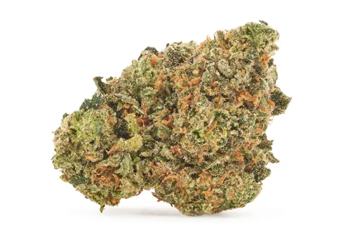 Bubblegum Marker - Carmel - Dried Flower