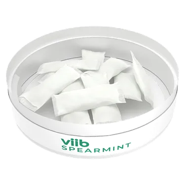 Spearmint Thc Cbg Oral Pouches