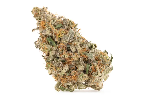Product image of Organic Glacier Fruit - Cappellano Co. - Dried Flower
