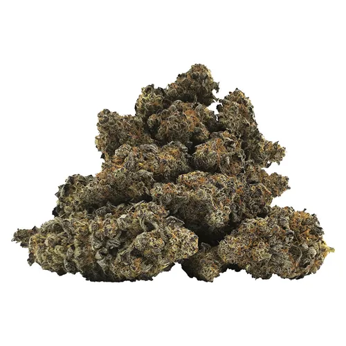 Product image of 9 lb Hammer - BC OZ - Dried Flower