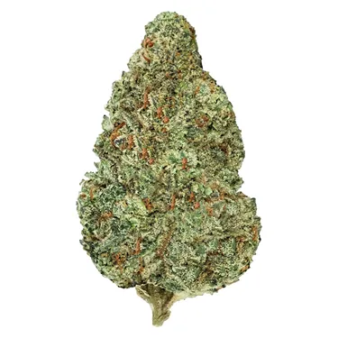 Product image of Chemzilla - Back Forty - Dried Flower