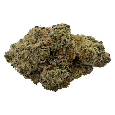 Product image of Rare Cuts - The Florist - Dried Flower