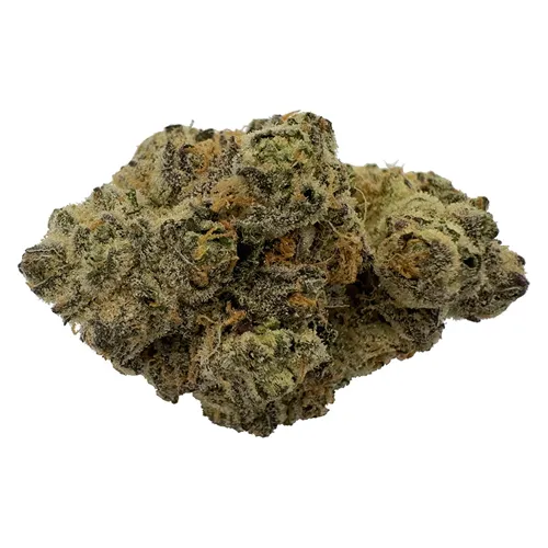 Rare Cuts - The Florist - Dried Flower