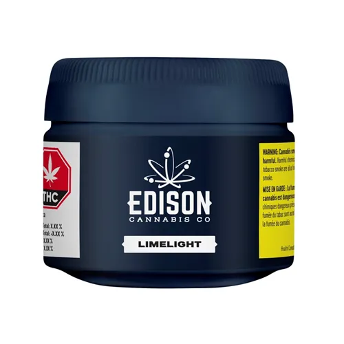 Limelight - Edison - Dried Flower