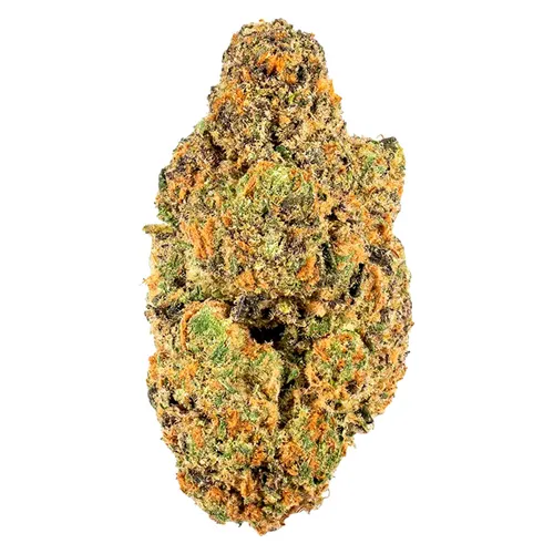 Coffin Candy - Sheeesh! - Dried Flower