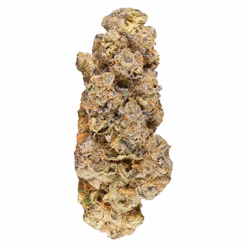 Product image of Cherry Cheesecake - Broken Coast - Dried Flower