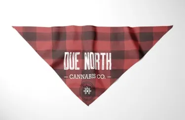 Product image of Pet Bandana - Plaid