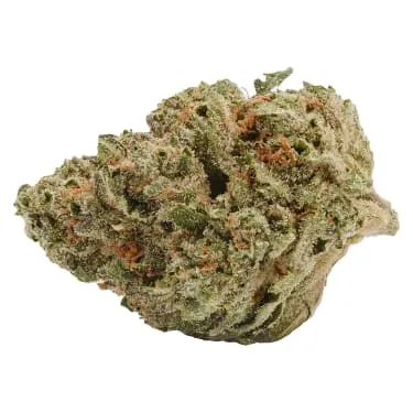 Product image of Liquid Imagination - Back Forty - Dried Flower