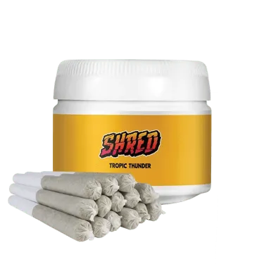 Product image of Shred - PreRolls - Tropic Thunder