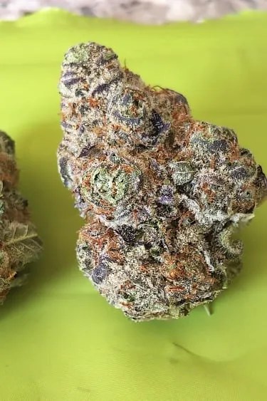 Product image of Brple Funk 7g - BATTLE RIVER BUD